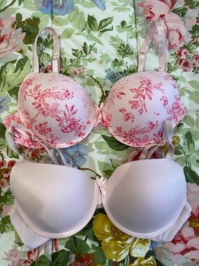 Charisma Pink Floral and Solid Light Pink Bra Duo